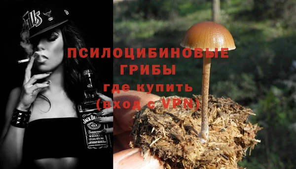 прущая мука Богданович