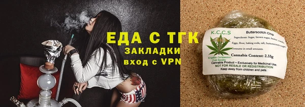 гидра Богородск