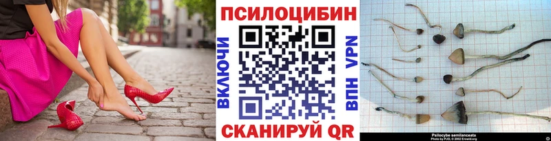 Галлюциногенные грибы Psilocybe Кириши