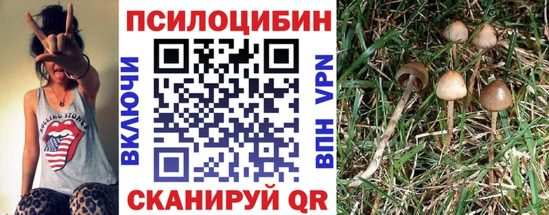 гидра зеркало  дарк нет Telegram  Псилоцибиновые грибы Cubensis  Кириши 