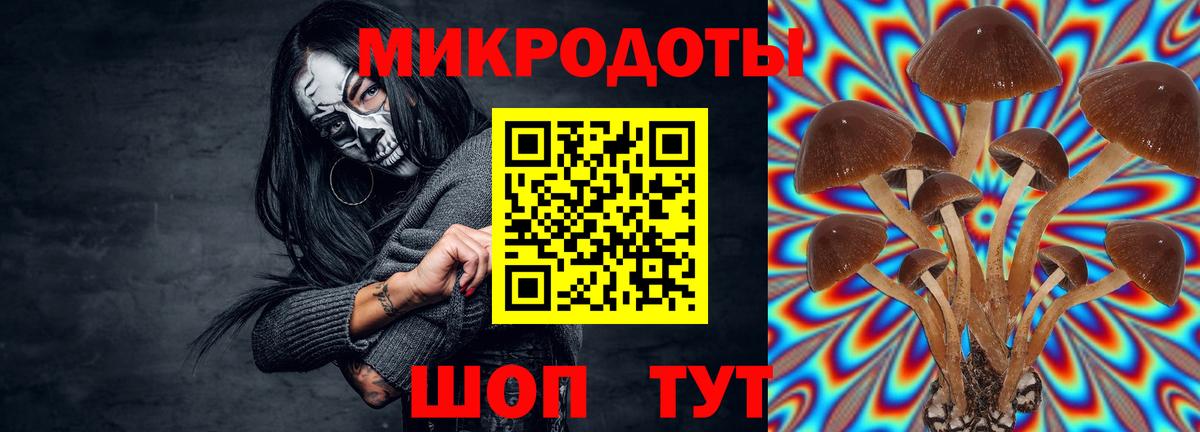 Галлюциногенные грибы GOLDEN TEACHER Кириши