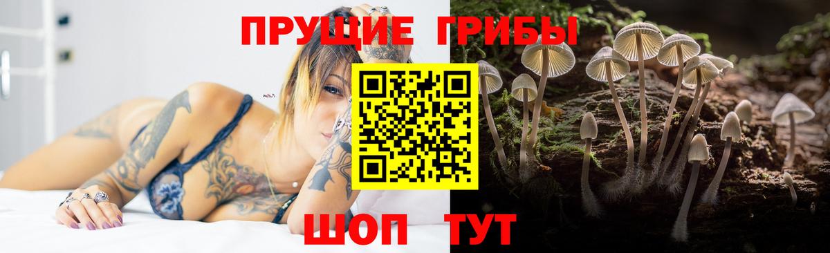 Псилоцибиновые грибы прущие грибы  Вход с VPN  Кириши  наркотики  Псилоцибиновые грибы Psilocybe 