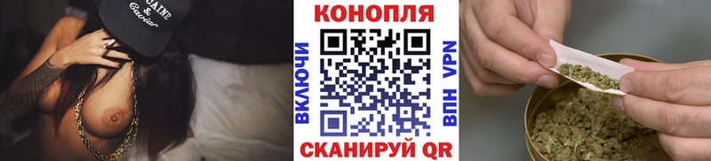 где продают   Кириши  Конопля ГИДРОПОН 